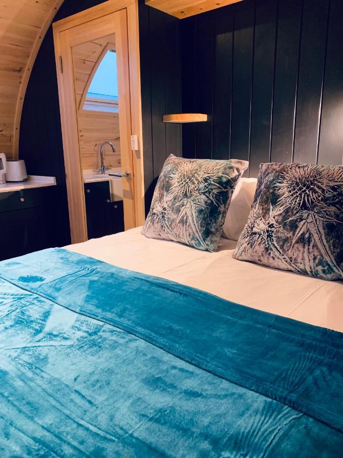 Thistle Pod Farm Stay With Hottub Sleeps 2 Galston  外观 照片