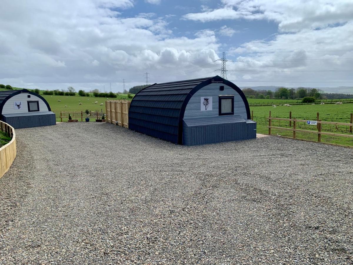 Thistle Pod Farm Stay With Hottub Sleeps 2 Galston  外观 照片